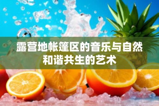 露营地帐篷区的音乐与自然和谐共生的艺术