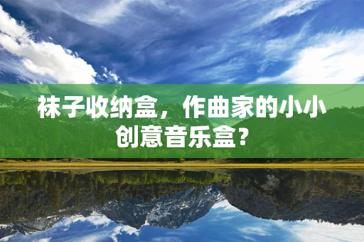 袜子收纳盒，作曲家的小小创意音乐盒？