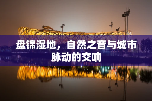 盘锦湿地，自然之音与城市脉动的交响