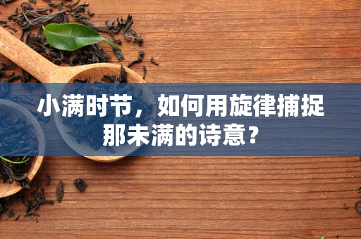小满时节，如何用旋律捕捉那未满的诗意？