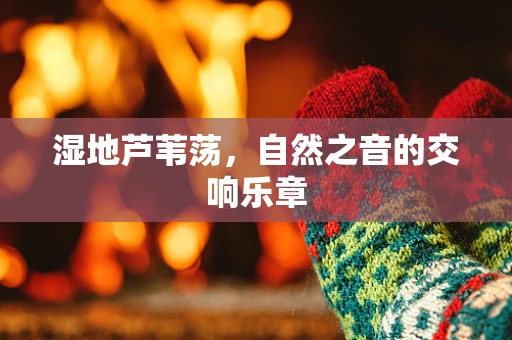 湿地芦苇荡，自然之音的交响乐章