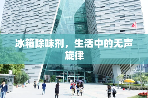 冰箱除味剂，生活中的无声旋律