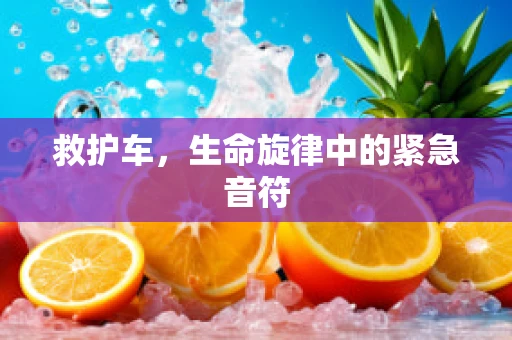 救护车，生命旋律中的紧急音符