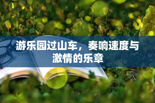游乐园过山车，奏响速度与激情的乐章