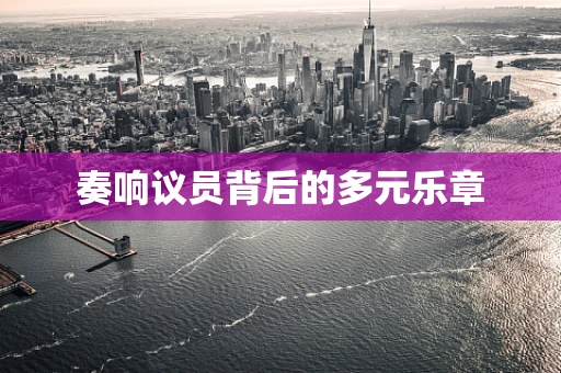 奏响议员背后的多元乐章