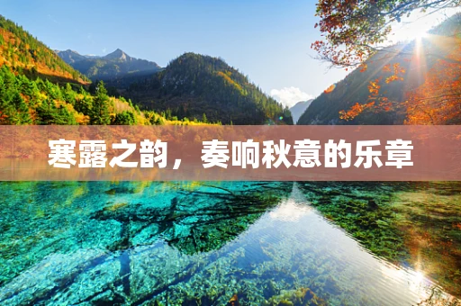 寒露之韵，奏响秋意的乐章
