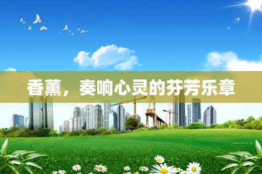 香薰，奏响心灵的芬芳乐章