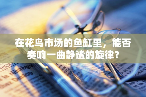 在花鸟市场的鱼缸里，能否奏响一曲静谧的旋律？