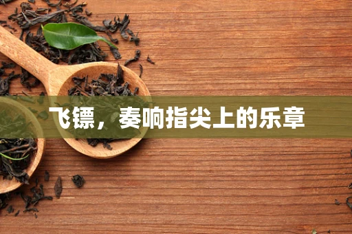 飞镖，奏响指尖上的乐章