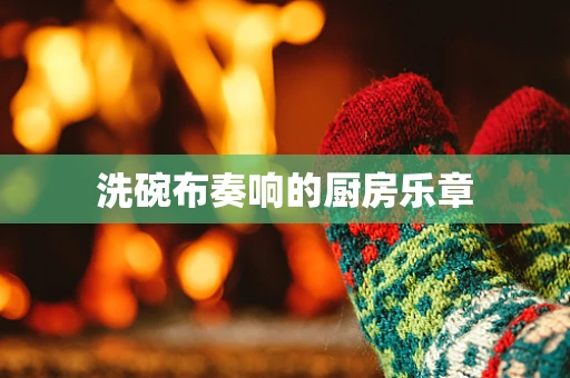 洗碗布奏响的厨房乐章