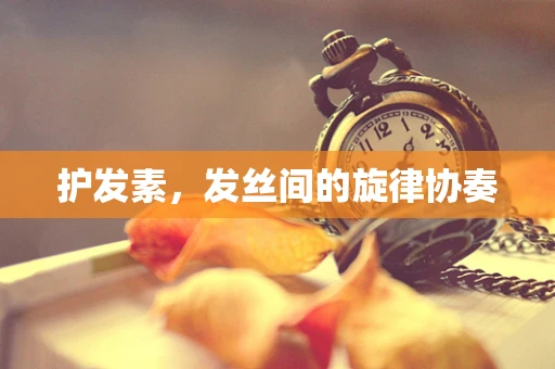 护发素，发丝间的旋律协奏