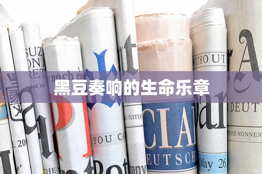 黑豆奏响的生命乐章