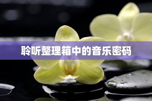聆听整理箱中的音乐密码