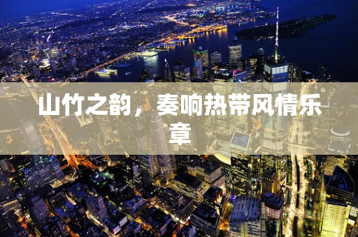山竹之韵，奏响热带风情乐章