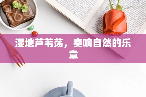 湿地芦苇荡，奏响自然的乐章