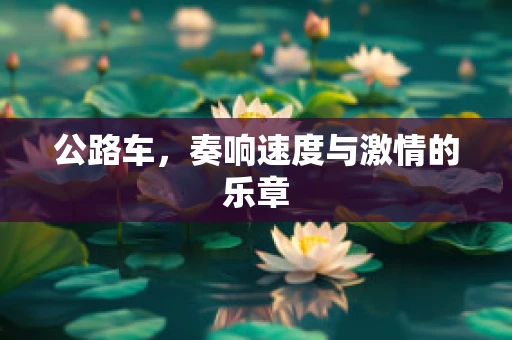 公路车，奏响速度与激情的乐章