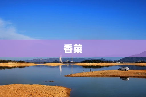 香菜
