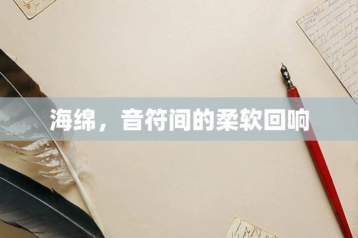 海绵，音符间的柔软回响