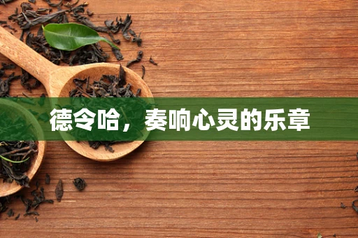 德令哈，奏响心灵的乐章