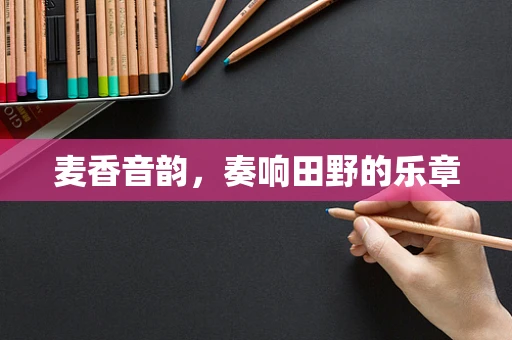 麦香音韵，奏响田野的乐章