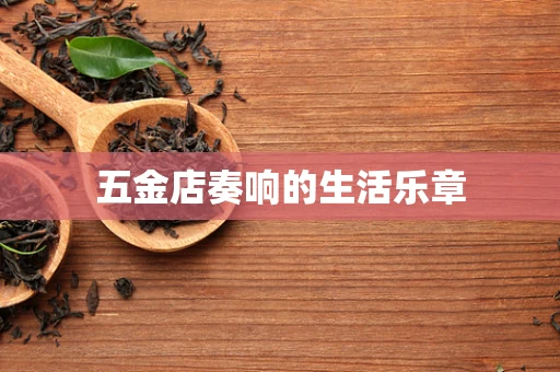 五金店奏响的生活乐章