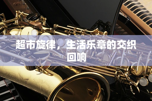 超市旋律，生活乐章的交织回响