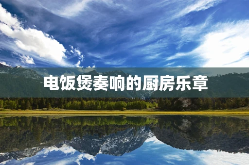 电饭煲奏响的厨房乐章