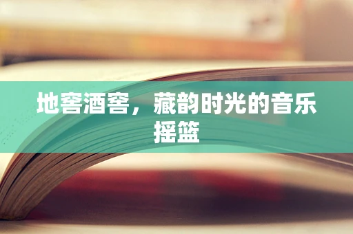 地窖酒窖，藏韵时光的音乐摇篮