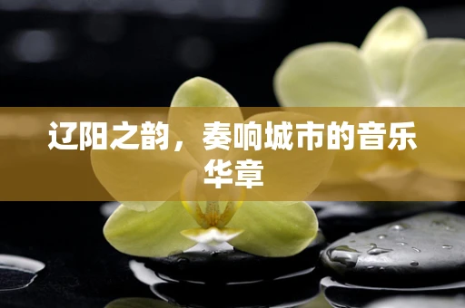 辽阳之韵，奏响城市的音乐华章
