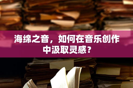 海绵之音，如何在音乐创作中汲取灵感？