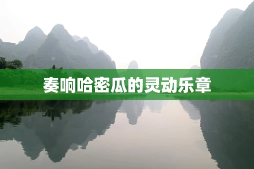 奏响哈密瓜的灵动乐章