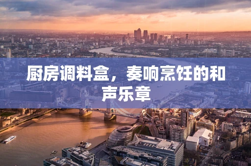 厨房调料盒，奏响烹饪的和声乐章