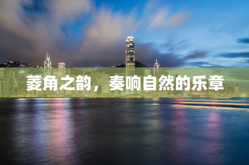 菱角之韵，奏响自然的乐章