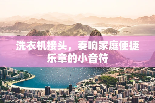 洗衣机接头，奏响家庭便捷乐章的小音符