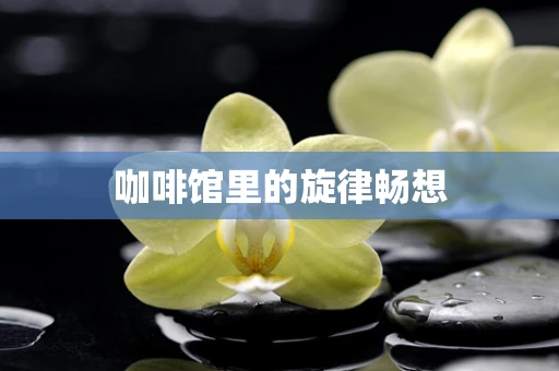 咖啡馆里的旋律畅想