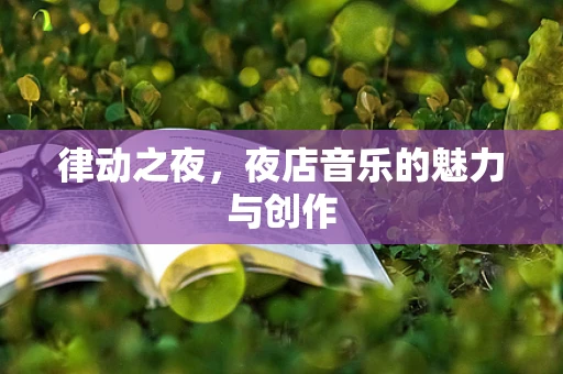 律动之夜，夜店音乐的魅力与创作