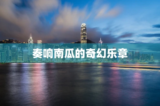 奏响南瓜的奇幻乐章