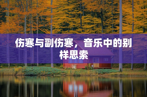 伤寒与副伤寒，音乐中的别样思索
