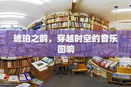 琥珀之韵，穿越时空的音乐回响