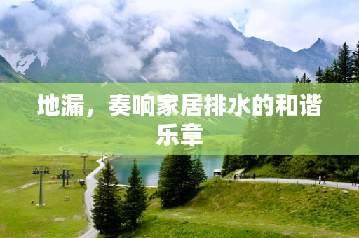 地漏，奏响家居排水的和谐乐章