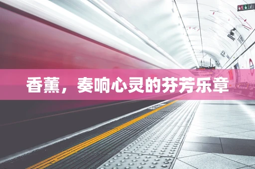 香薰，奏响心灵的芬芳乐章