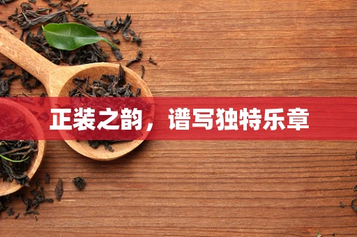正装之韵，谱写独特乐章
