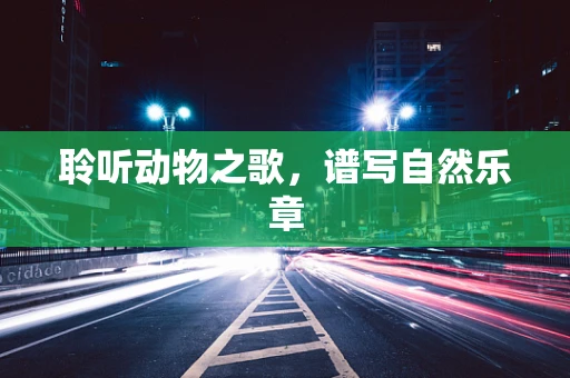 聆听动物之歌，谱写自然乐章