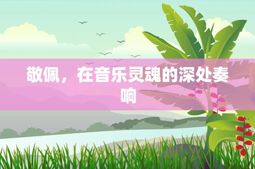 敬佩，在音乐灵魂的深处奏响