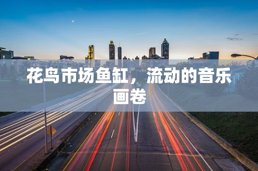 花鸟市场鱼缸，流动的音乐画卷