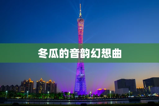 冬瓜的音韵幻想曲