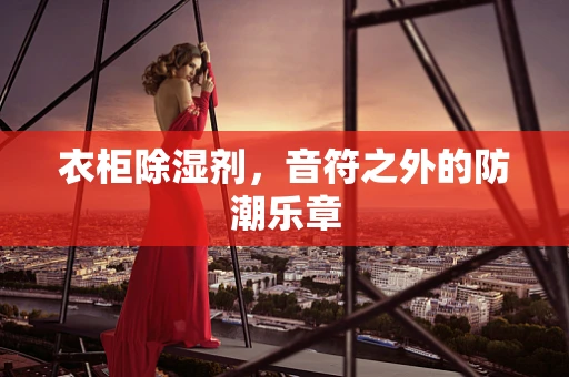 衣柜除湿剂，音符之外的防潮乐章
