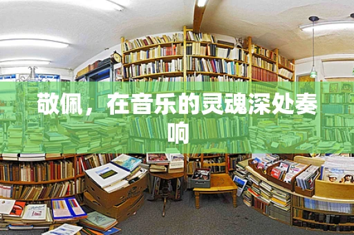 敬佩，在音乐的灵魂深处奏响
