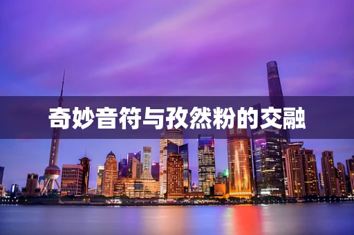 奇妙音符与孜然粉的交融