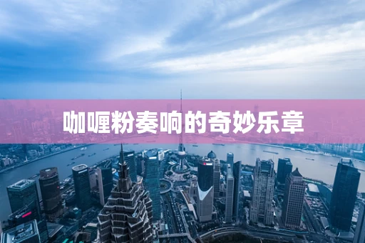 咖喱粉奏响的奇妙乐章